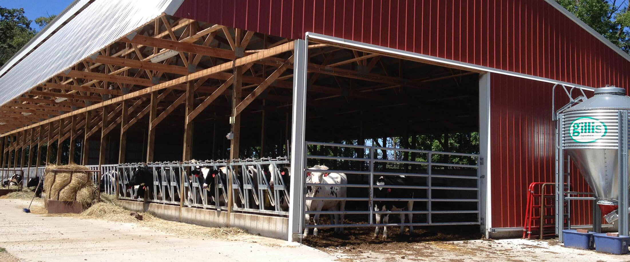 Agricultural calf barn built using materials supplied by Lifestyle Lumber